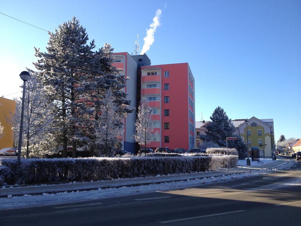 Apartman Sportovni Lejlighed Třeboň Eksteriør billede