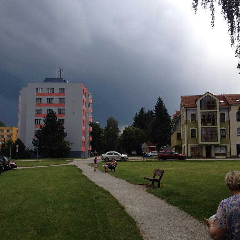 Apartman Sportovni Lejlighed Třeboň Eksteriør billede
